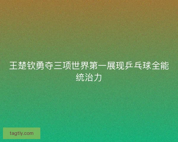王楚钦勇夺三项世界第一展现乒乓球全能统治力