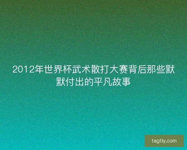 2012年世界杯武术散打大赛背后那些默默付出的平凡故事