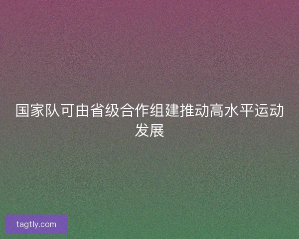 国家队可由省级合作组建推动高水平运动发展