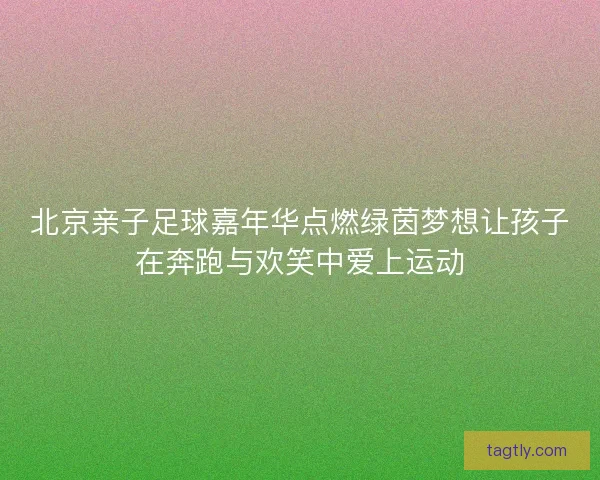北京亲子足球嘉年华点燃绿茵梦想让孩子在奔跑与欢笑中爱上运动 北京亲子足球嘉年华点燃绿茵梦想让孩子在奔跑与欢笑中爱上运动