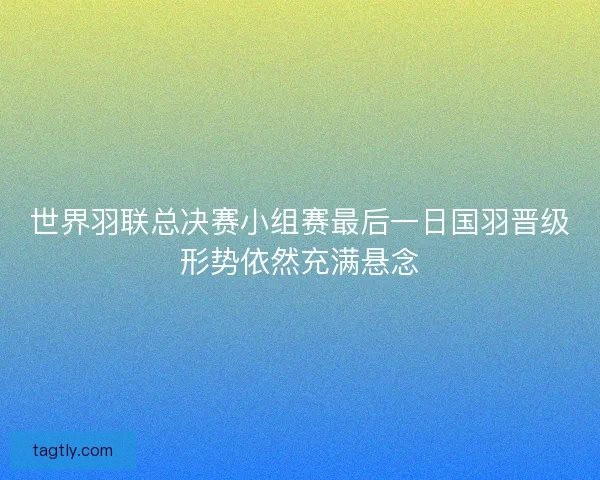 世界羽联总决赛小组赛最后一日国羽晋级形势依然充满悬念