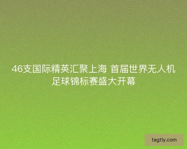 46支国际精英汇聚上海 首届世界无人机足球锦标赛盛大开幕 46支国际精英汇聚上海 首届世界无人机足球锦标赛盛大开幕