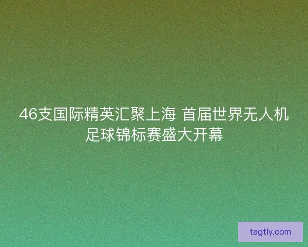 46支国际精英汇聚上海 首届世界无人机足球锦标赛盛大开幕